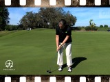 Do You Watch the Putter Head?